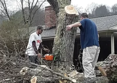 Dependable Tree Service in Mount Carmel TN