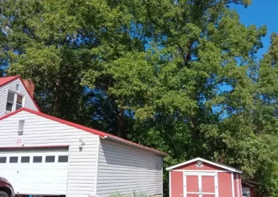 Reputable Tree Care in Mount Carmel TN